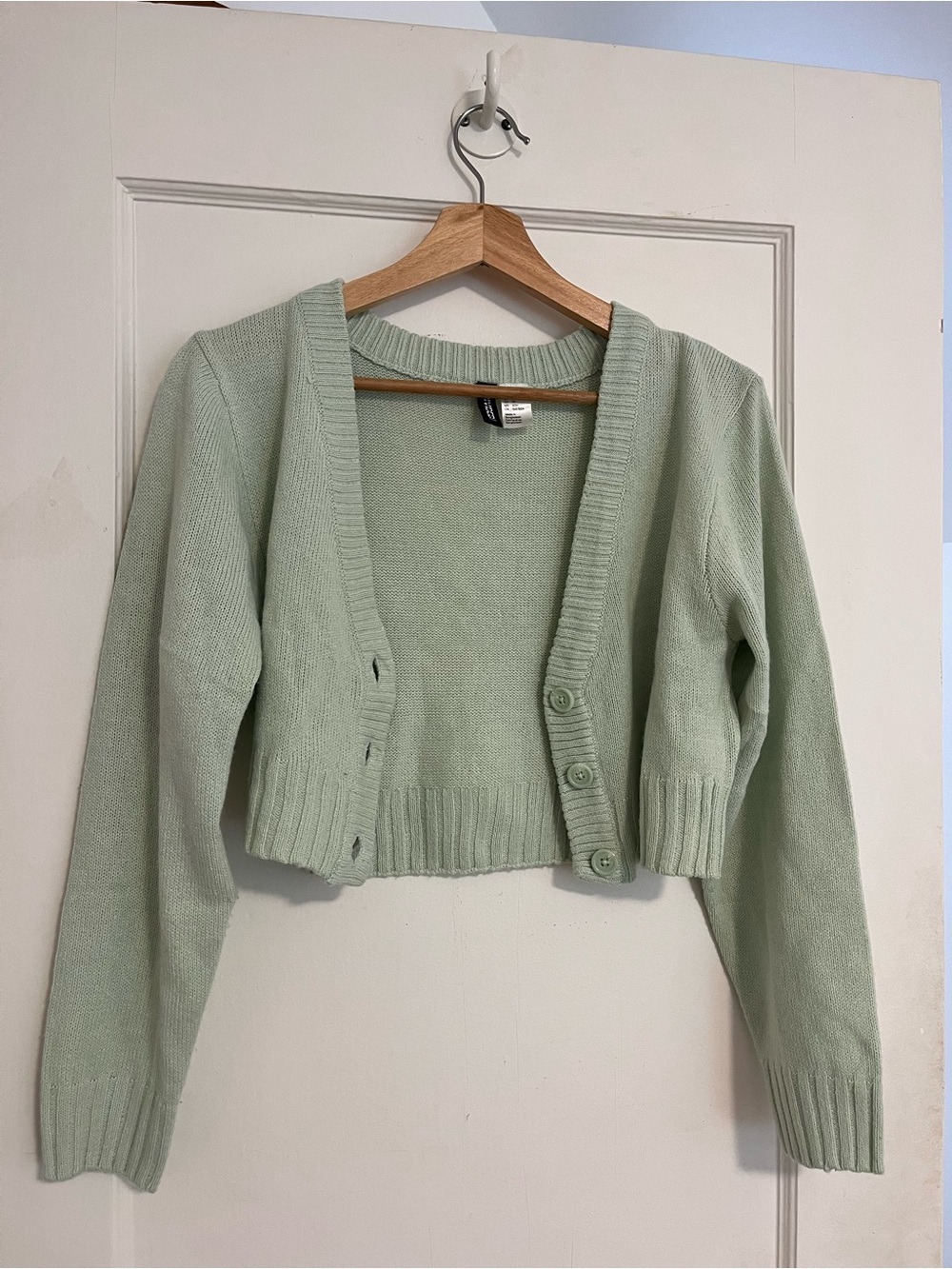 H&M Pastel Mint Cropped Button Cardigan